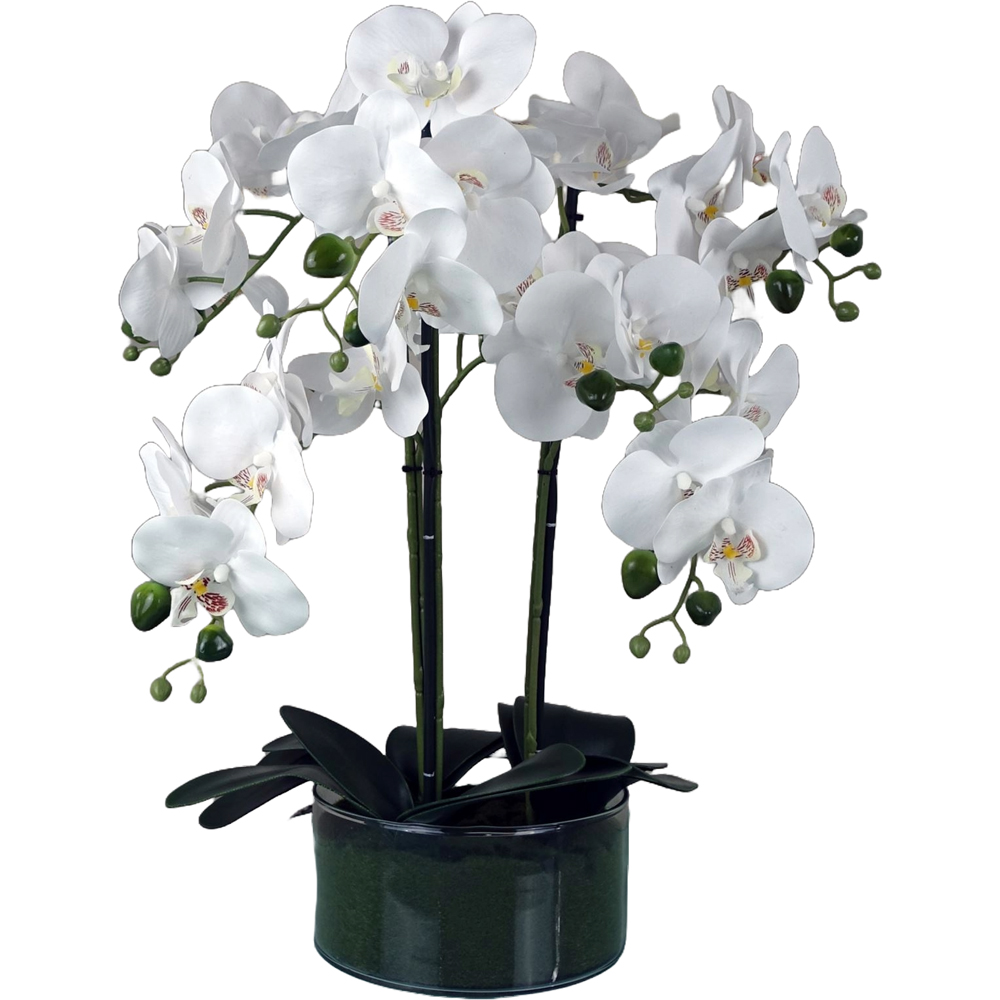 Botanik White Orchid Artificial Tree in Glass Planter 50cm Image 1