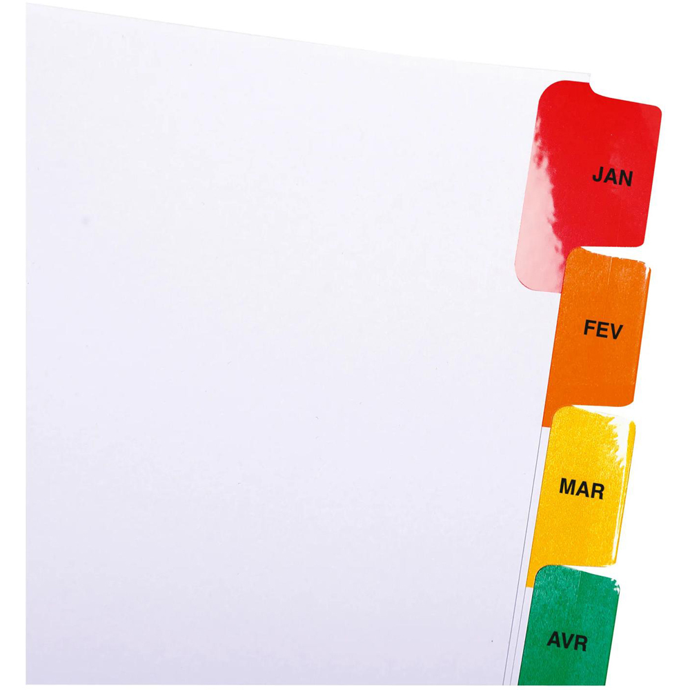 Exacompta A4 White January-December Monthly Index Divider with Multicolour Tabs 20 Pack Image 4