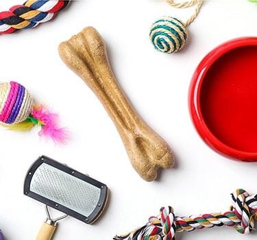 pet toys