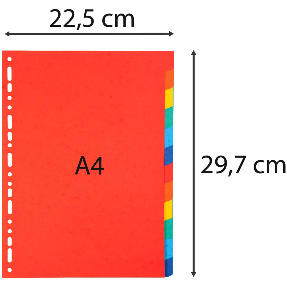 Exacompta Forever A4 12 Tab Bright Assorted Colour Divider 25 Pack Image 3
