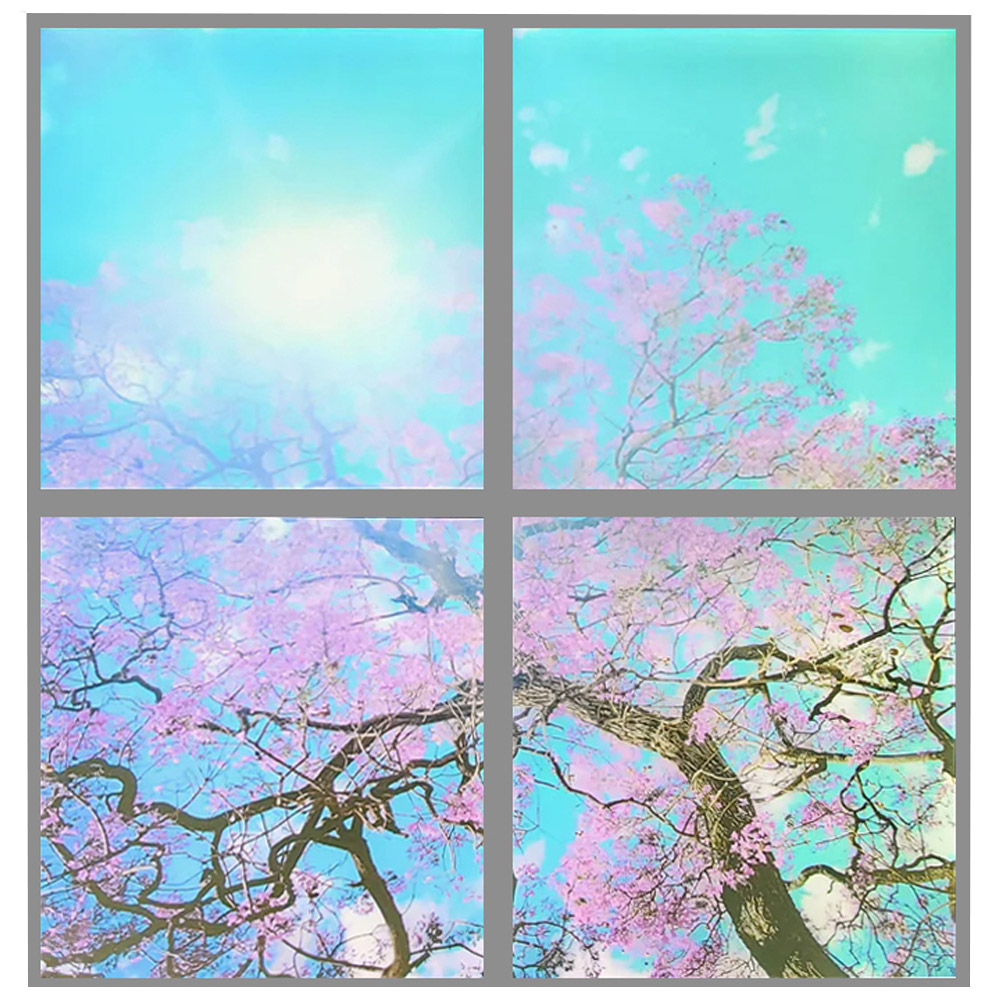ENER-J 4 Pack LED Sky Cloud and Cherry Blossom Trees Panel 60 x 60cm Image 1