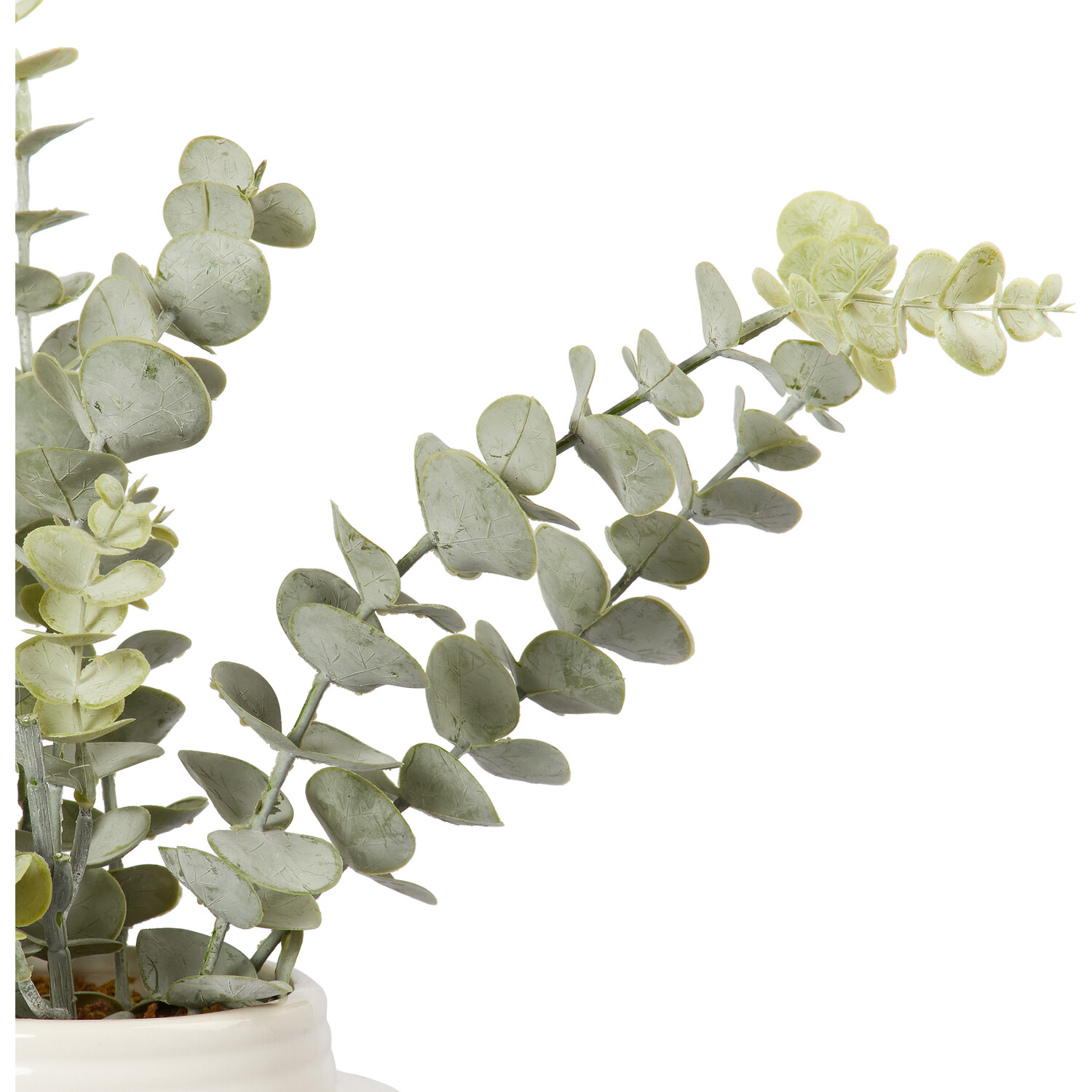 Eucalyptus Artificial Plant in White Ceramic Pot Image 2