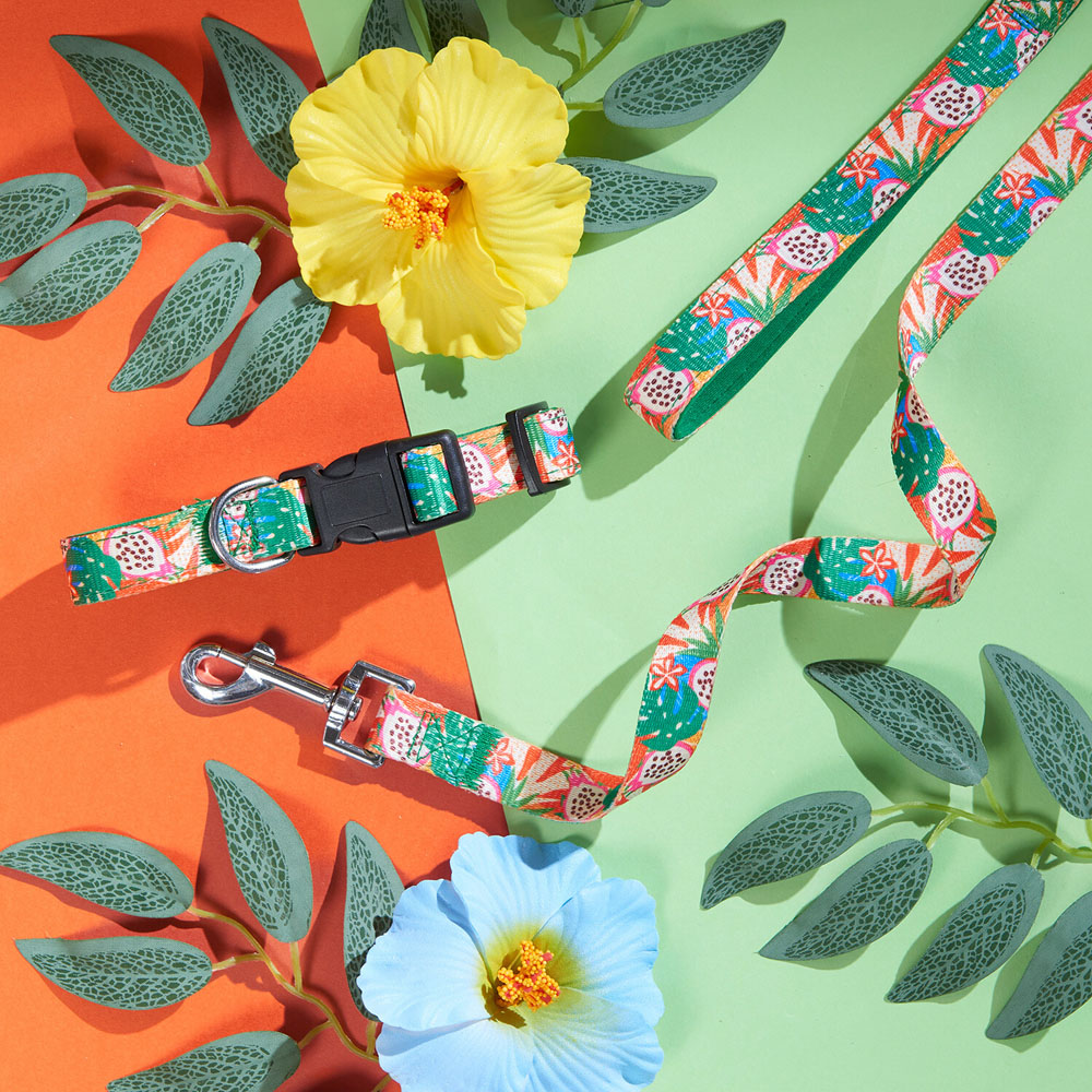 Jungle Fruits Collar and Lead Set Image 2