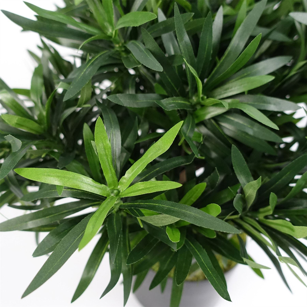 Botanik Podocarpus Bush Artificial Plant in Pot 40cm Image 2