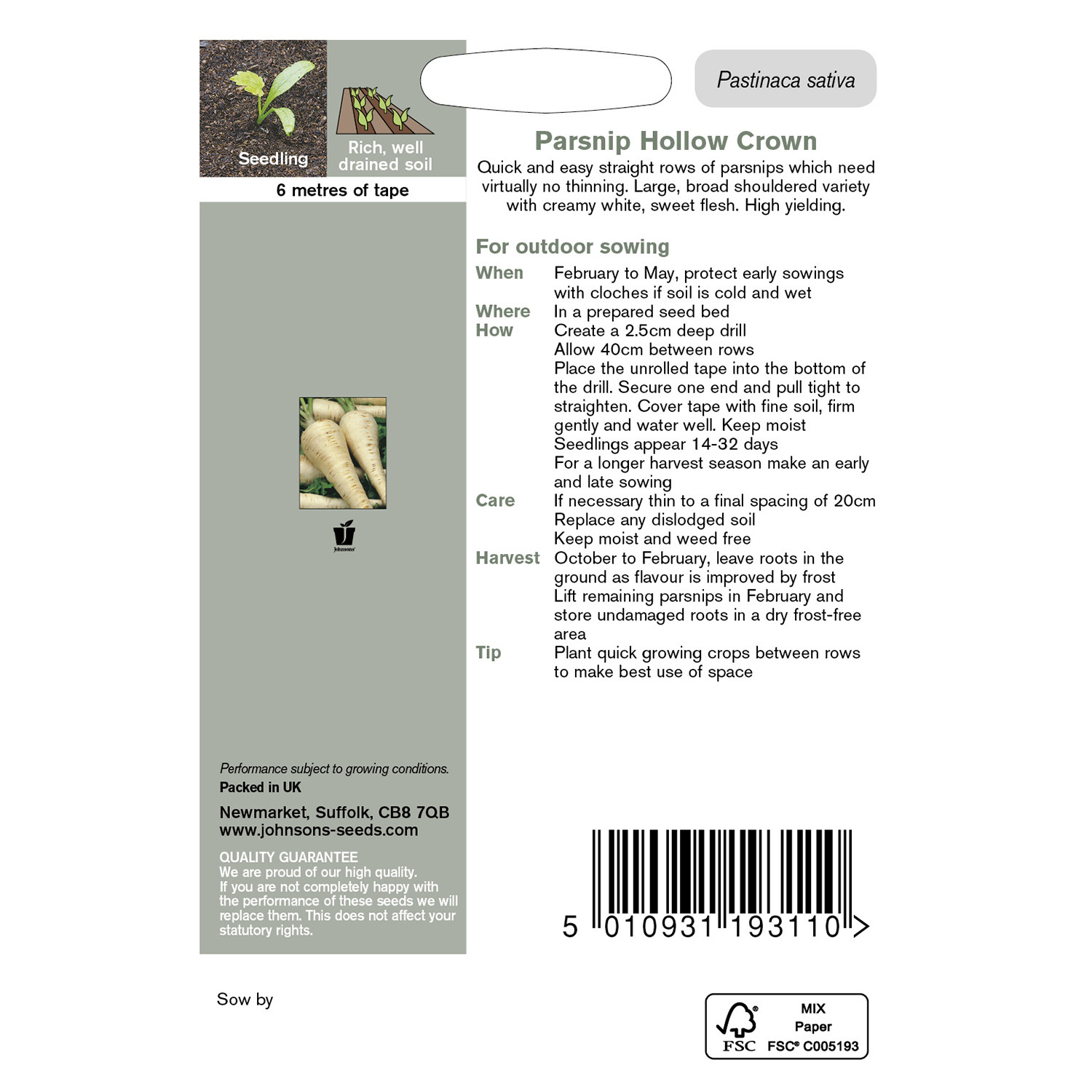Pack of Hollow Crown Parsnip Seed Tape Image 2