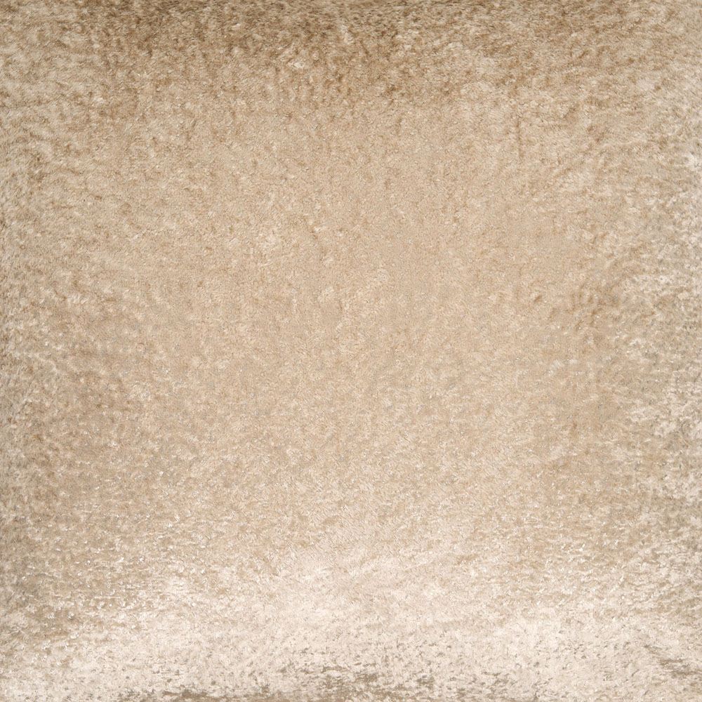 Ella Fringe Edge Cushion Champagne Image 3