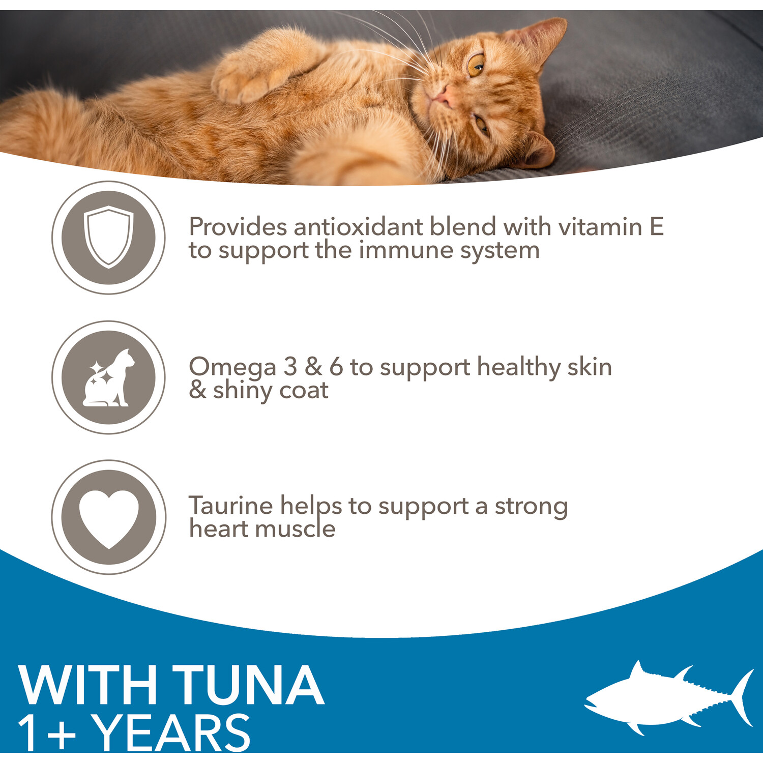 Iams Vitality Adult Cat Food - Tuna Image 5