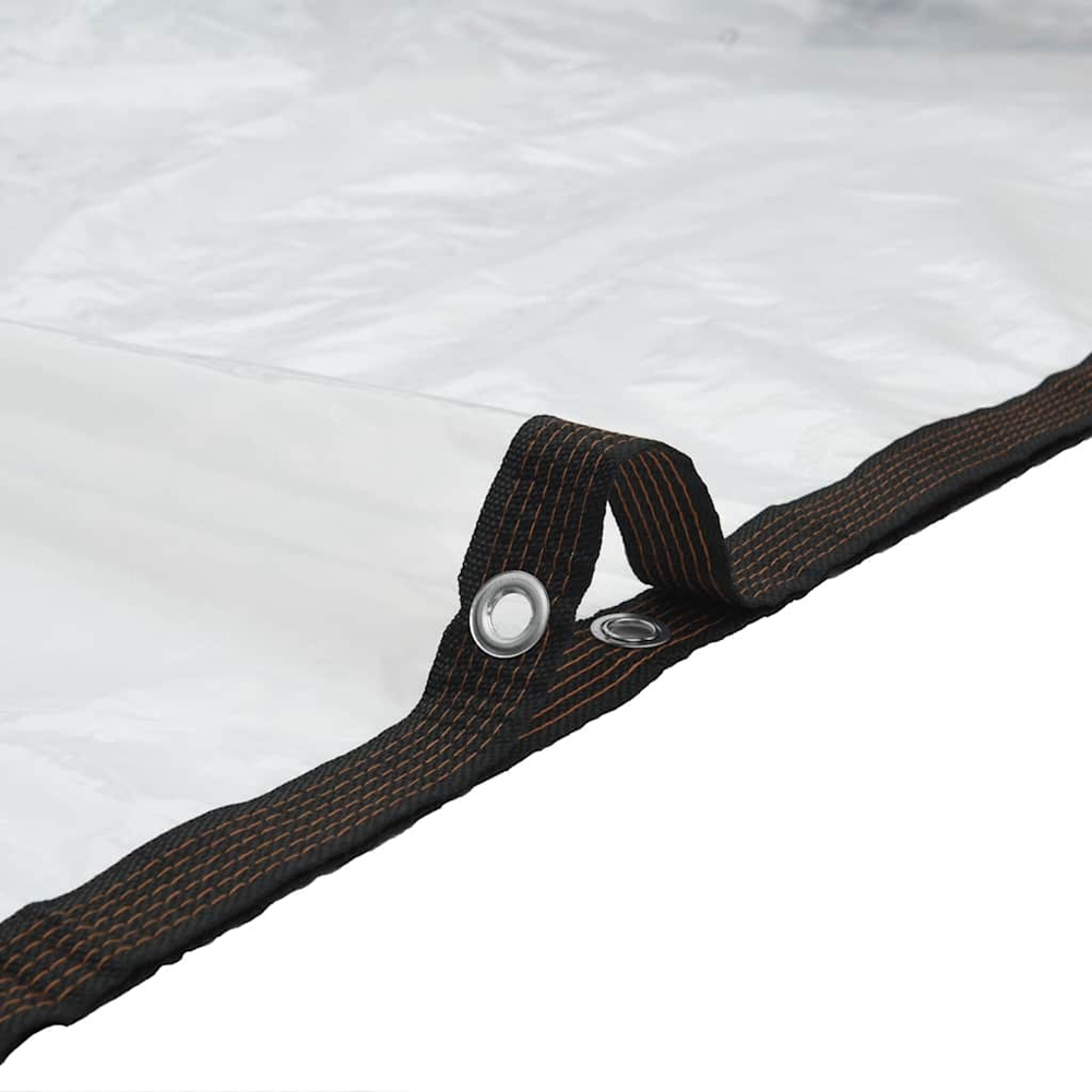 Walplus Clear Tarpaulin with Eyelets 2 x 3m Image 4