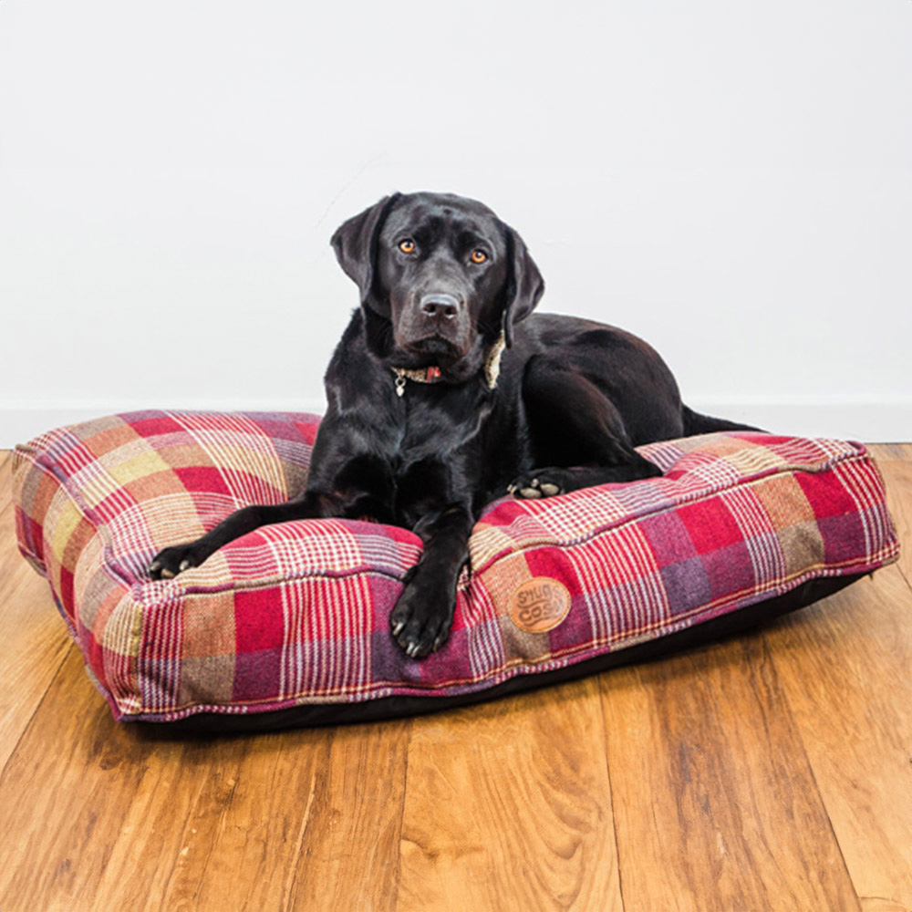 Snug and Cosy Highland Large Mulberry Pet Lounger Bed Image 2