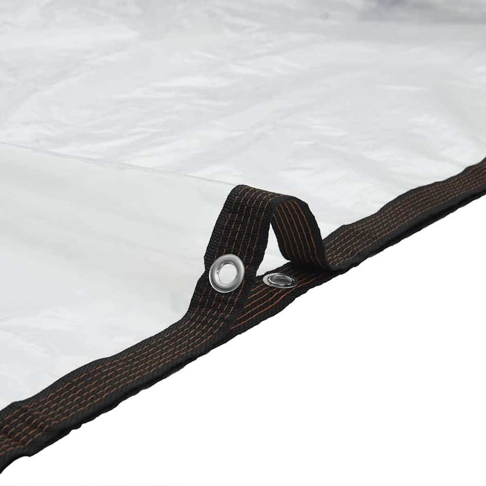 Walplus Clear Tarpaulin with Eyelets 3 x 3m Image 4