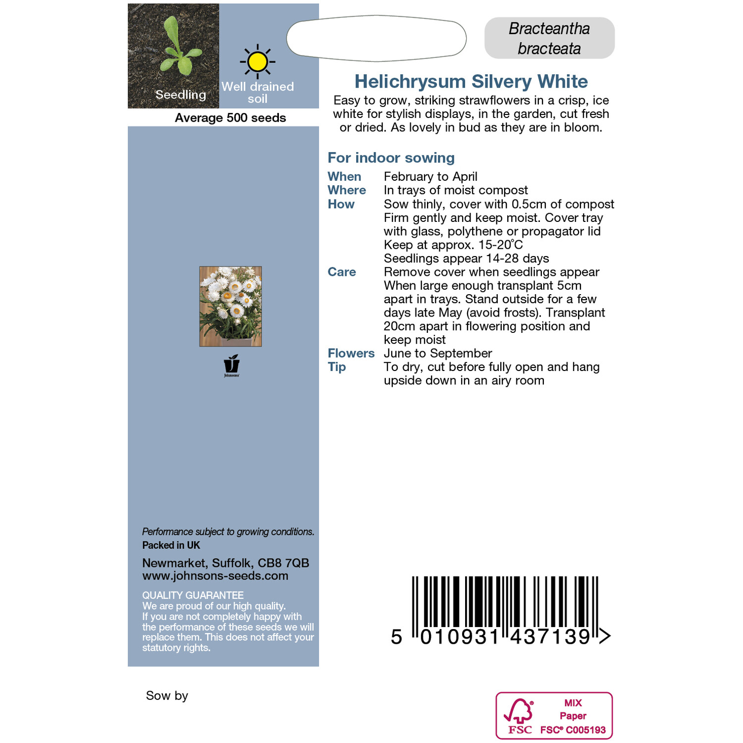 Johnsons Helichrysum Silvery White Flower Seeds - White Image 2