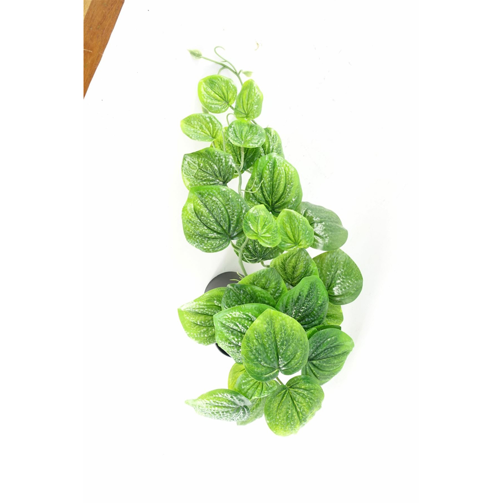 Botanik Green Trailing Pothos Artificial Plant 35cm Image 5