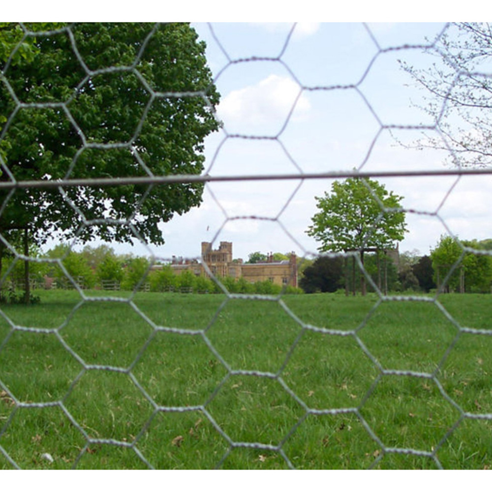 Inspirational Gifting Galvanised Mild Steel Line or Straining Wire Roll 250m x 2.5mm Image 4