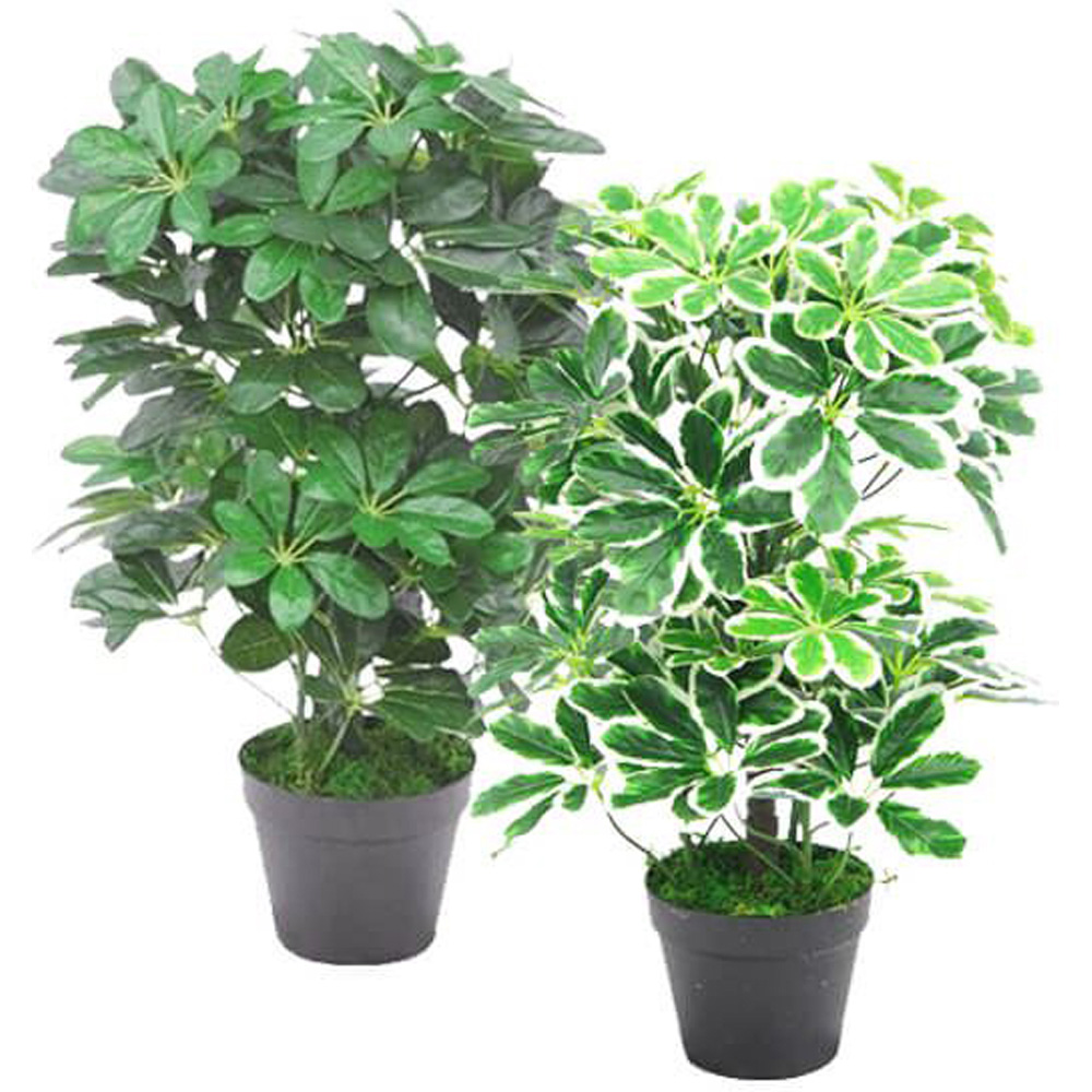 Leaf Evergreen Small Artificial Plant Pot 55cm Image 4
