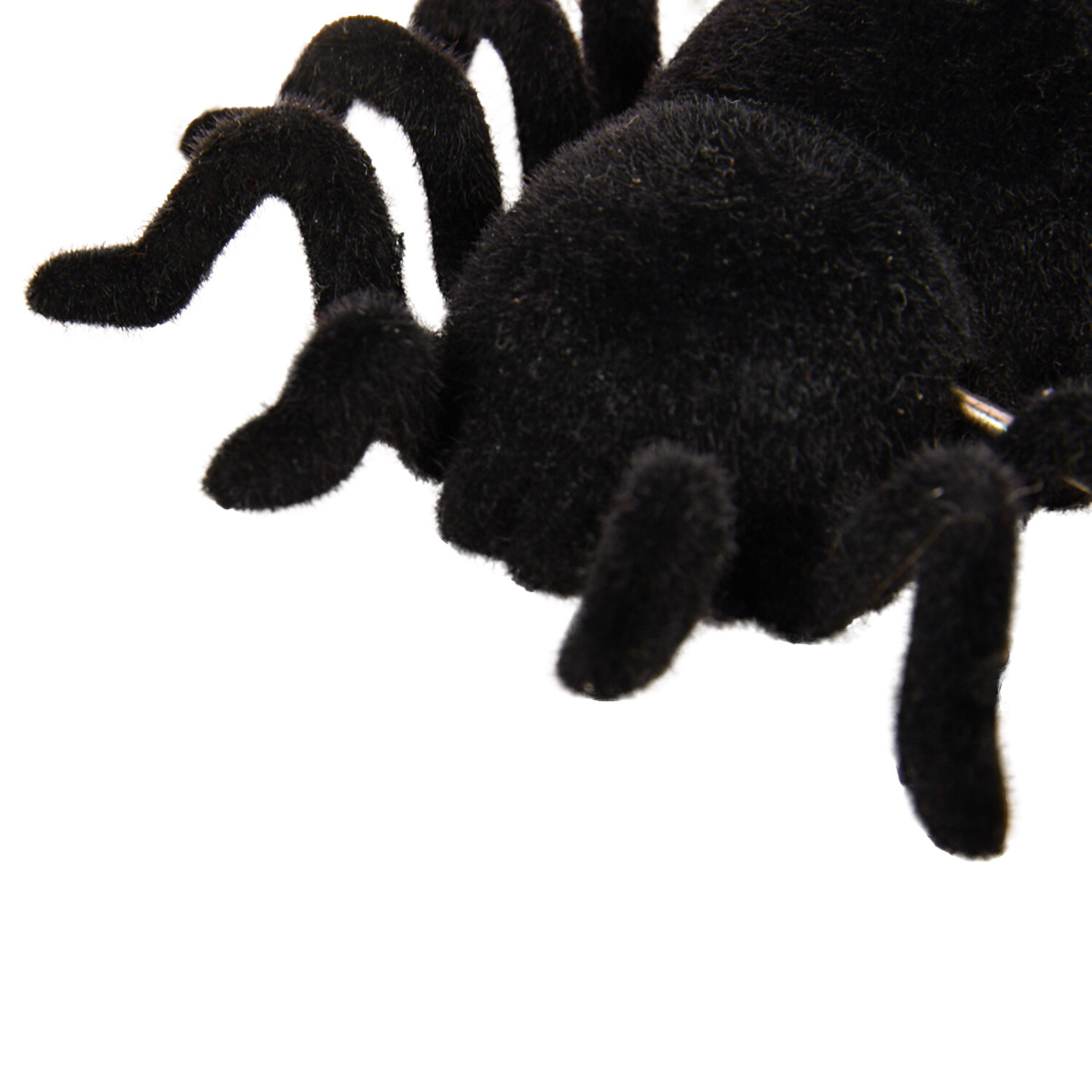 Windup Spider Cat Toy Image 10