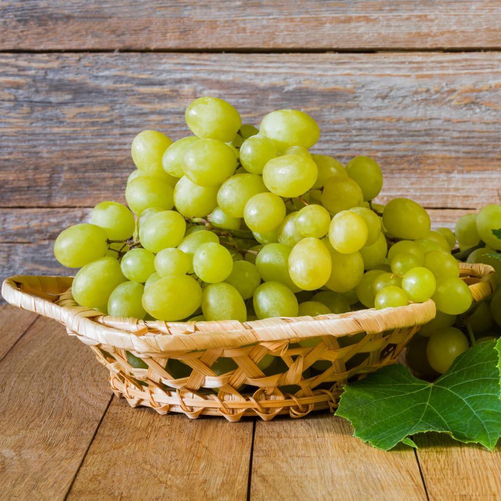 Thompson and Morgan Grape Vitis Lakemont Plant Pot 3L Image 2