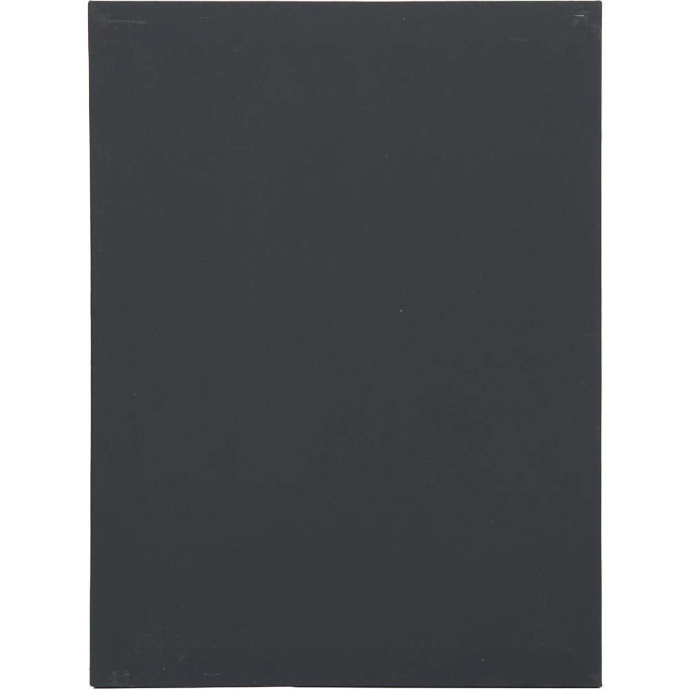 Pack of 2 Canvases Black Image 3