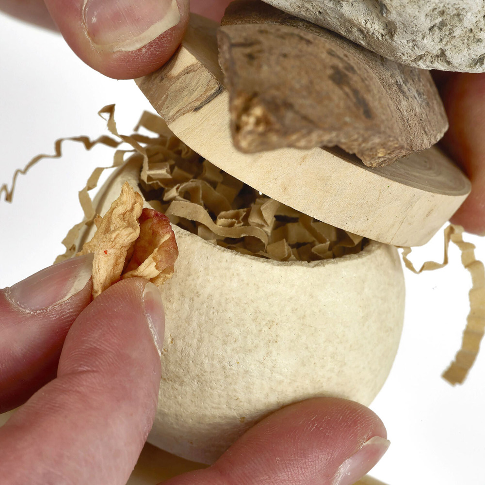 Naturals Forage Cup Medley Bird Toy Image 2