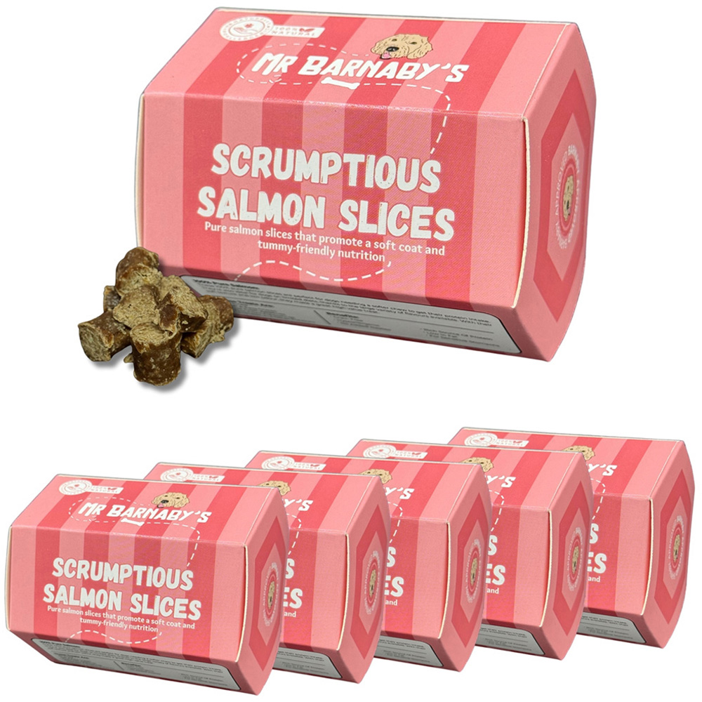 Mr Barnaby's Scrumptious Salmon Slices Dog Treats 6 Pack Image 1