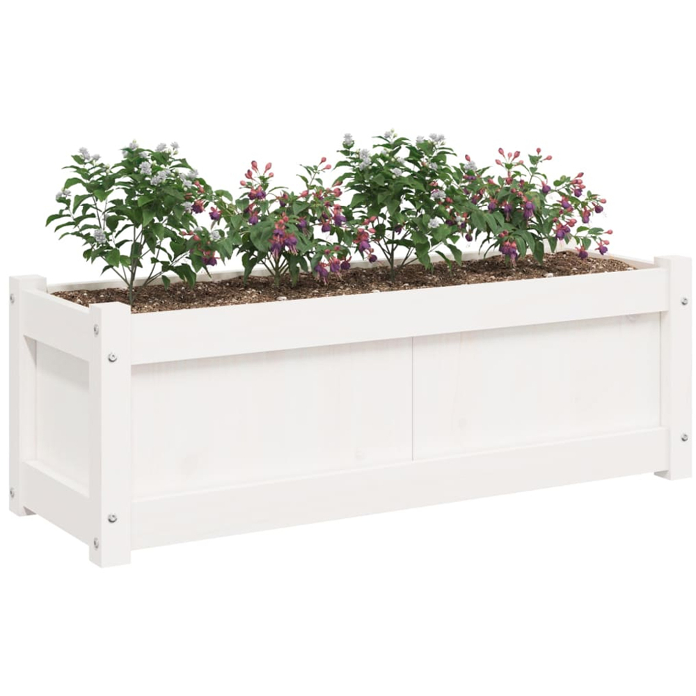 vidaXL White Pine Wood Raised Garden Bed 31 x 90 x 31cm Image 3