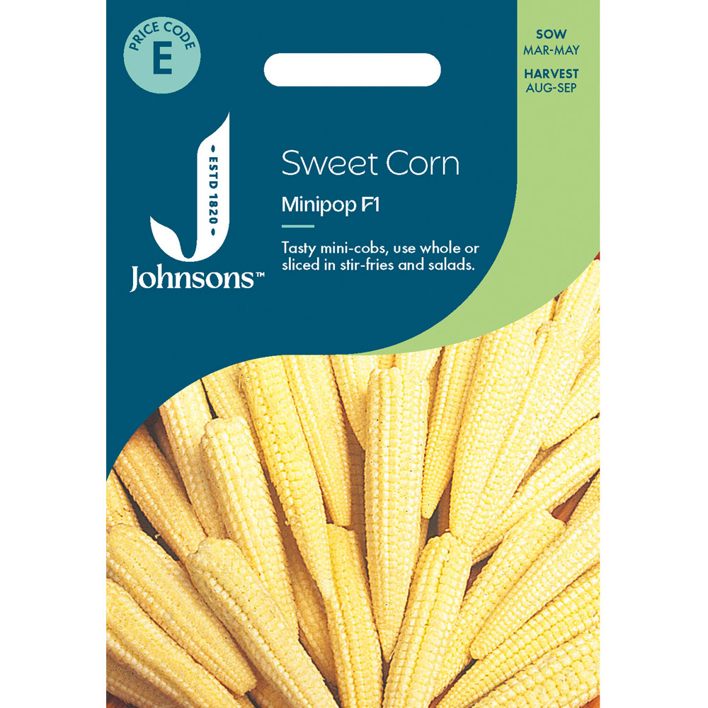 SWEETCORN Minipop F1 ROI Only Image 1