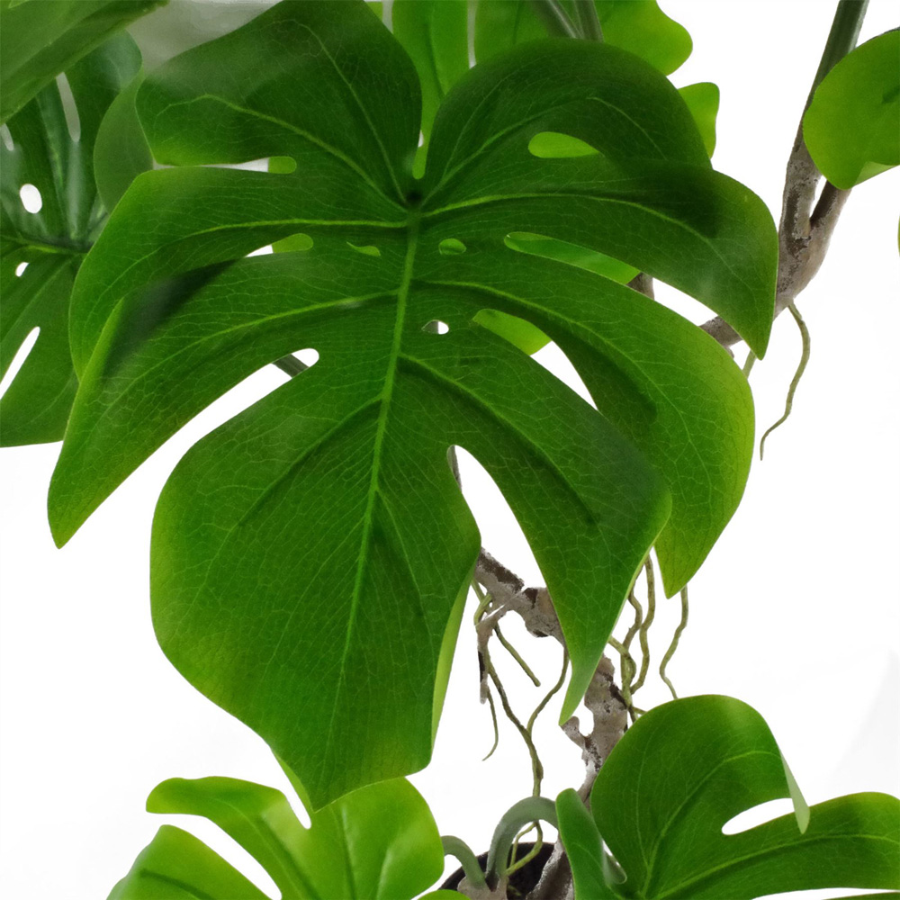 Leaf Monstera Twisted Cheese Artificial Plant Pot 60cm Image 6