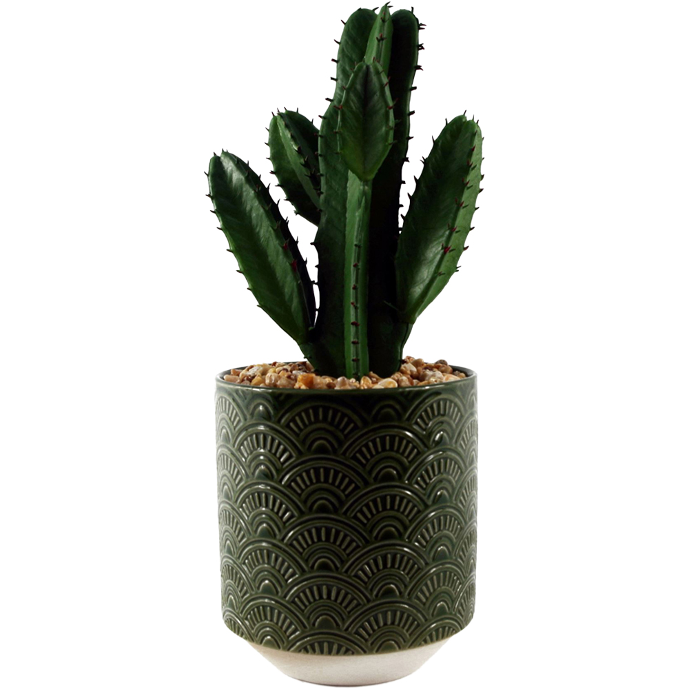 Leaf Cactus Artificial Plant in Green Ceramic Planter 23cm Image 1