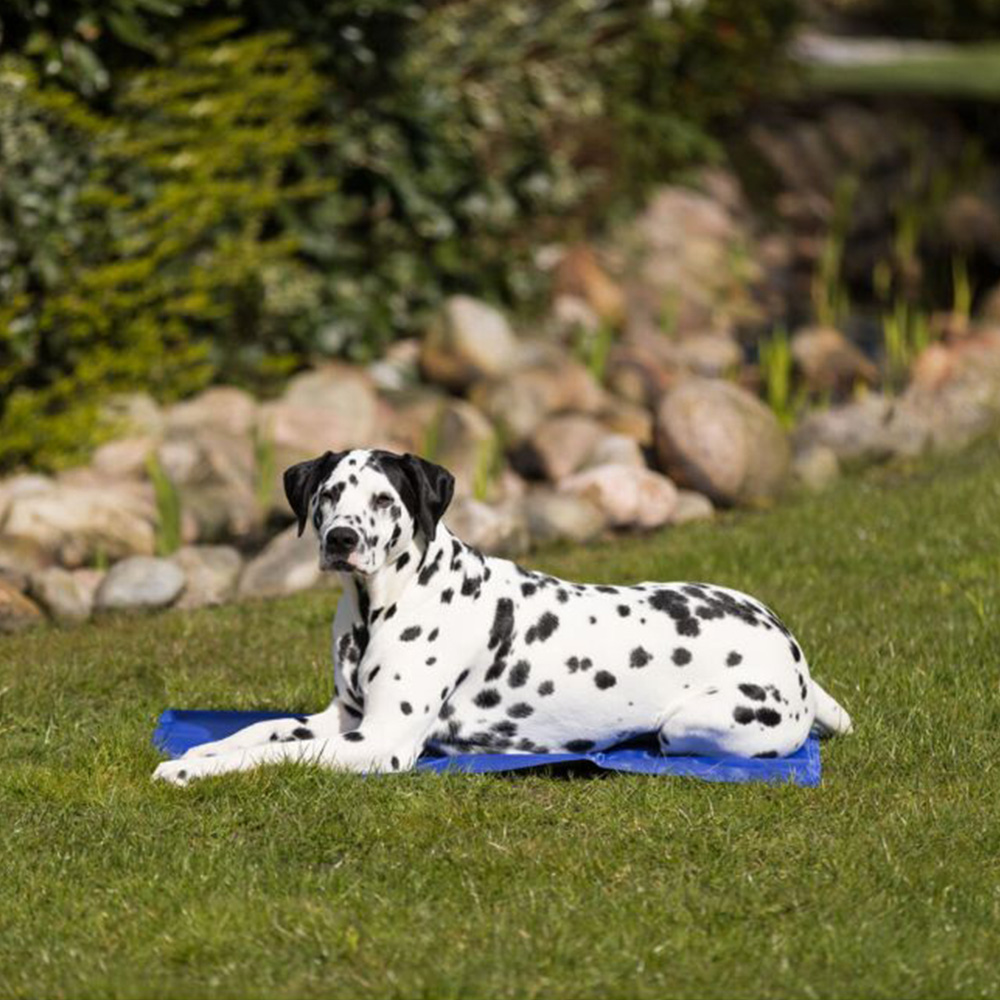Trixie Large Blue Cooling Mat Image 8
