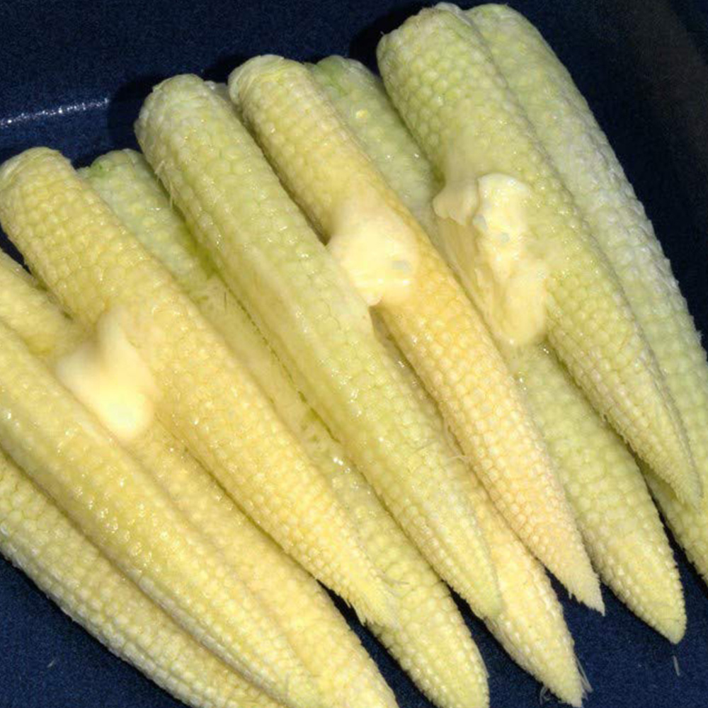 Thompson and Morgan Sweetcorn Snobaby Seeds Image 1