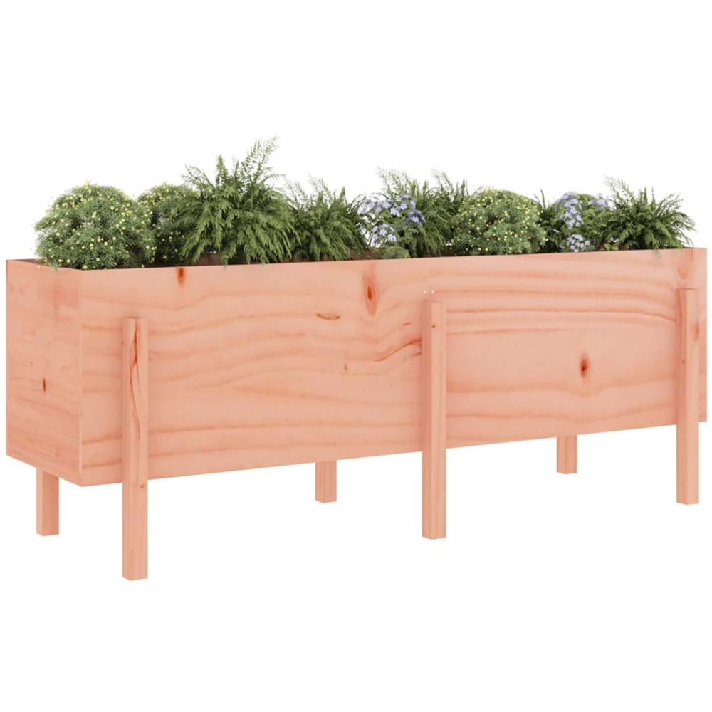 vidaXL Natural Solid Douglas Wood Raised Garden Bed 160 x 50 x 57cm Image 2