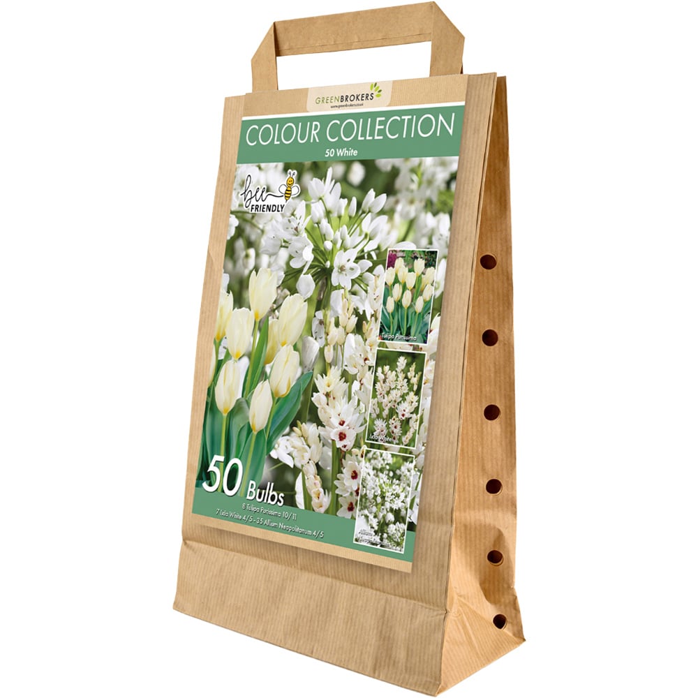 GreenBrokers Dutch White Colour Bee Friendly Mixed Collection Planting Bulb 50 Pack Image 1