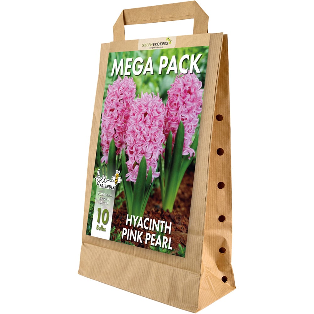 GreenBrokers Pink Pearl Hyacinth Bee Friendly Bulb 10 Pack Image 1