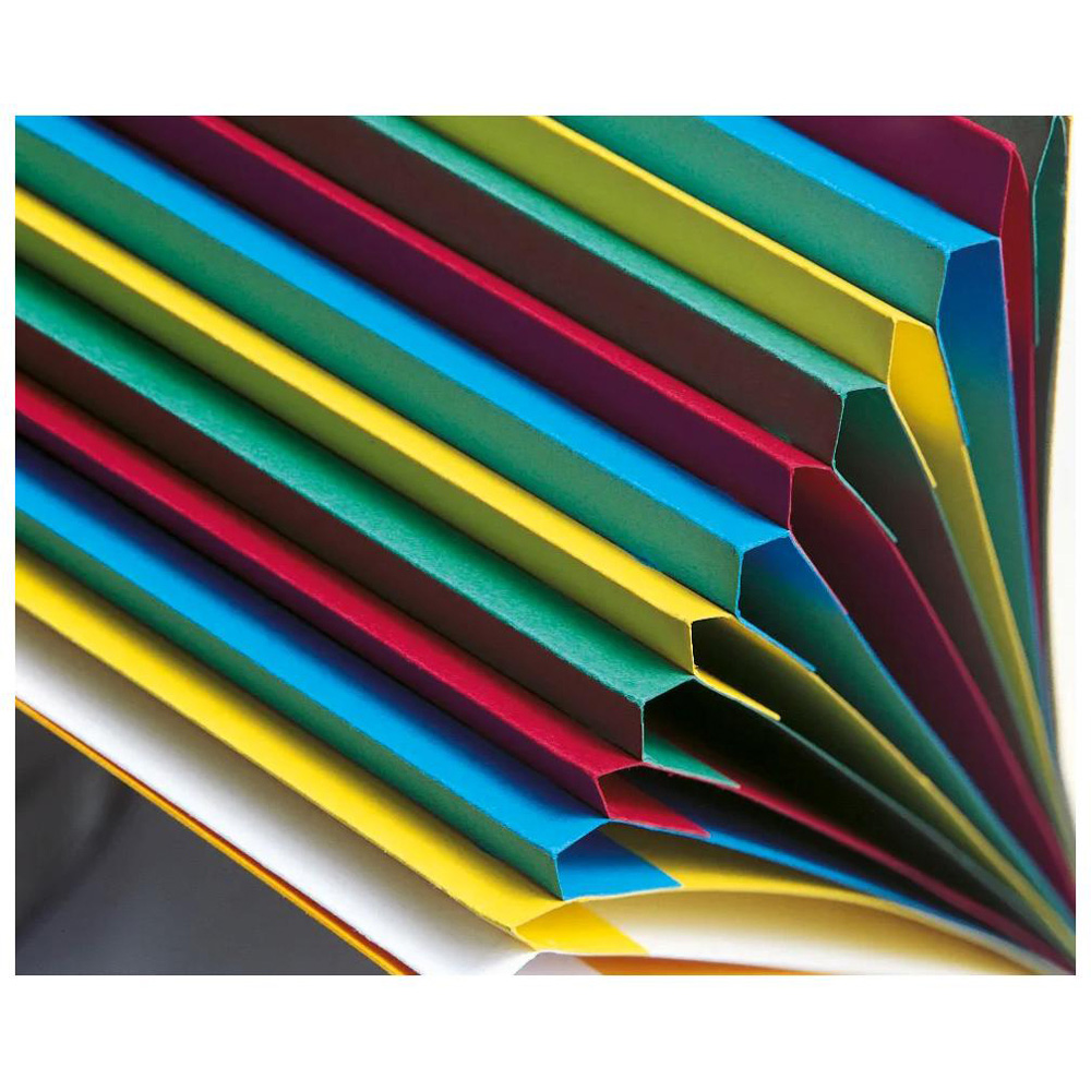 Exacompta Harmonika 12 Sections Blue A4 Multi Part File 6 Pack Image 6