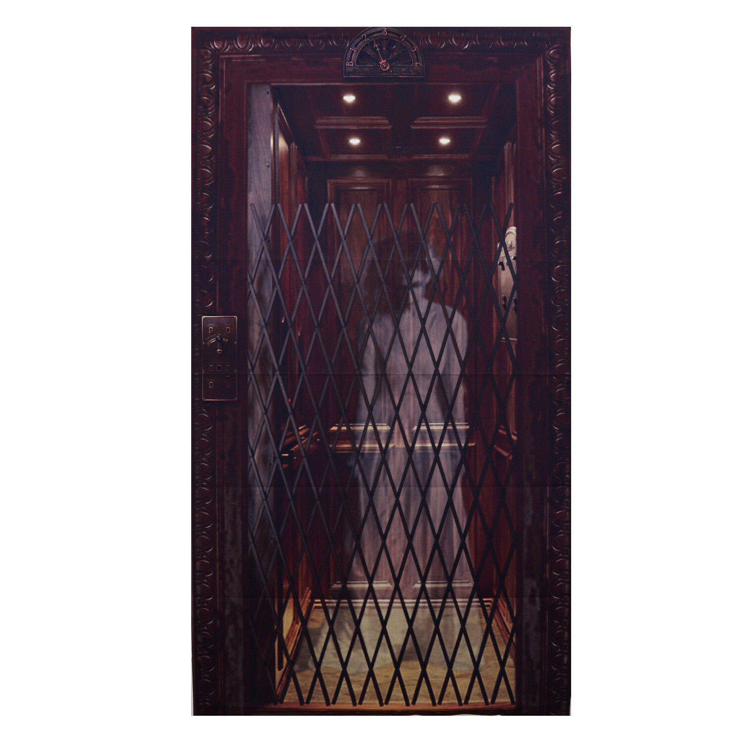 Spooky Woman Curtain Image 2