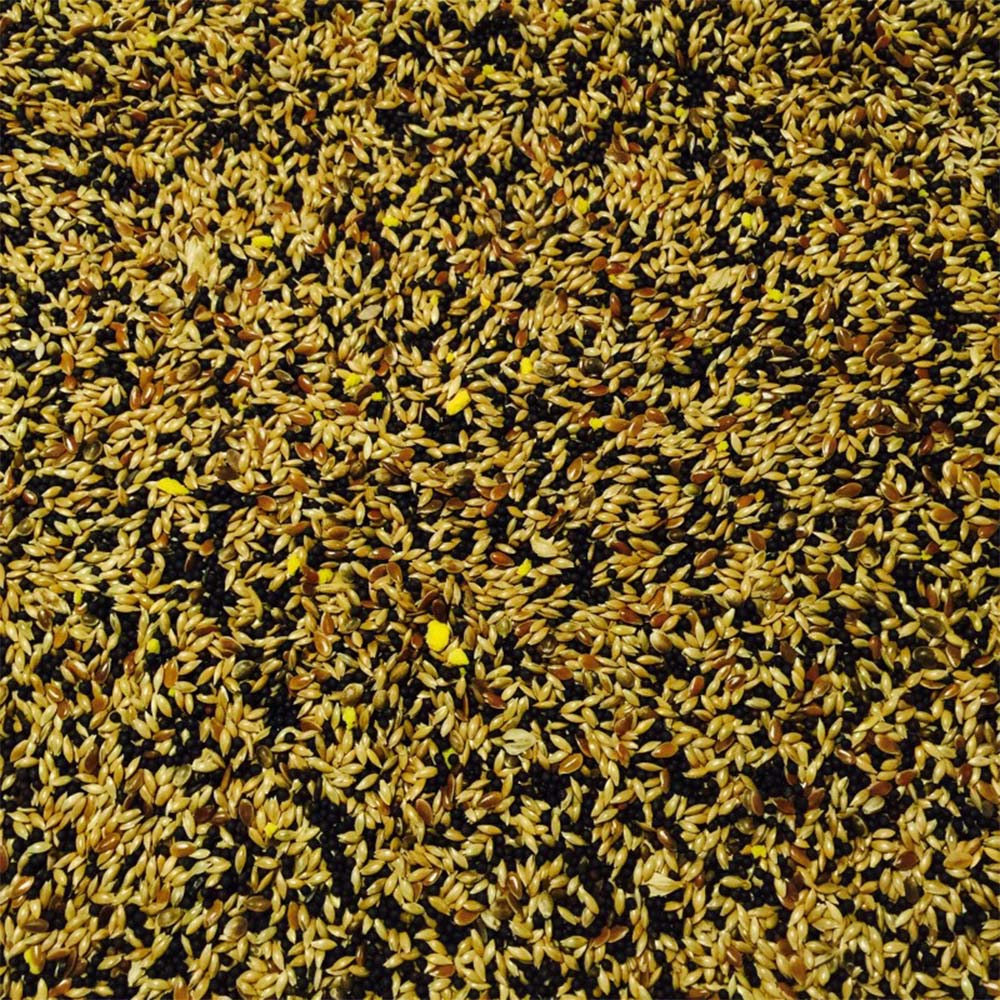 Bucktons No. 1 Mixed Canary Bird Seed 20kg Image 2