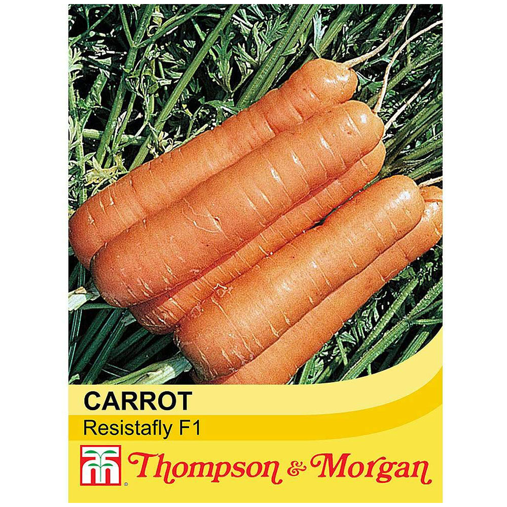 Thompson and Morgan Carrot Resistafly F1 Hybrid Seeds Image 2