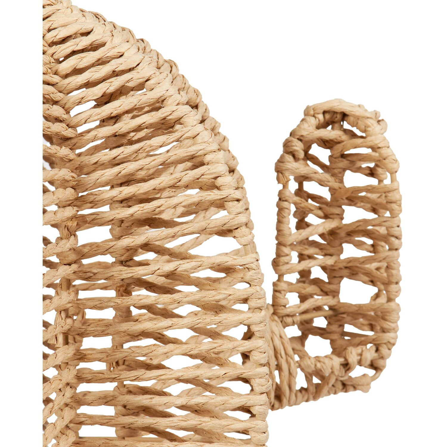 Paper Rope Cactus - Natural Image 3