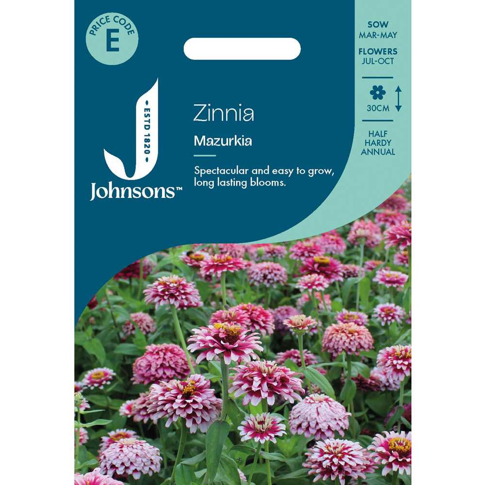 Pack of Zinnia Mazurkia Flower Seeds Image 1