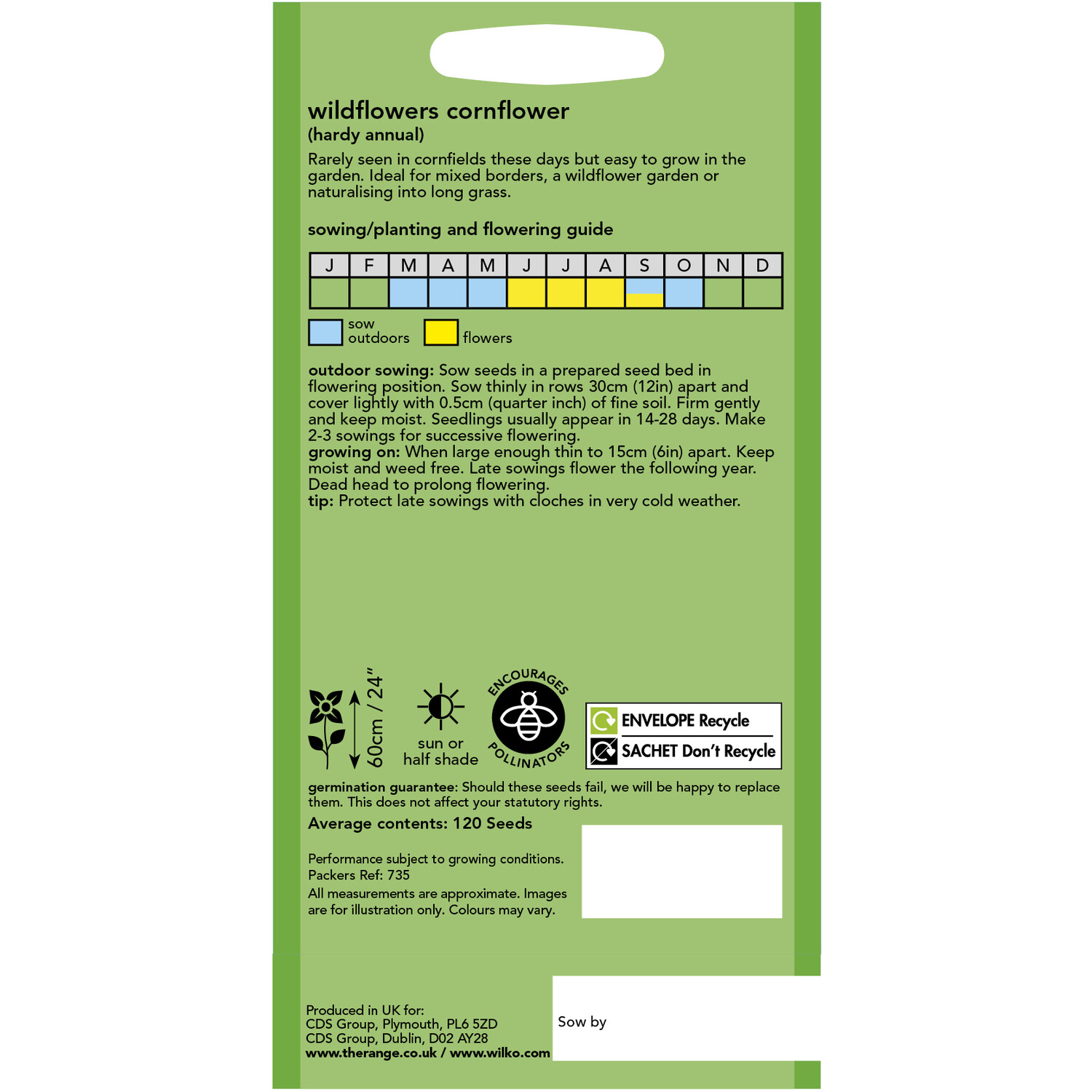 Wilko Wildflowers Cornflower Seeds Image 2