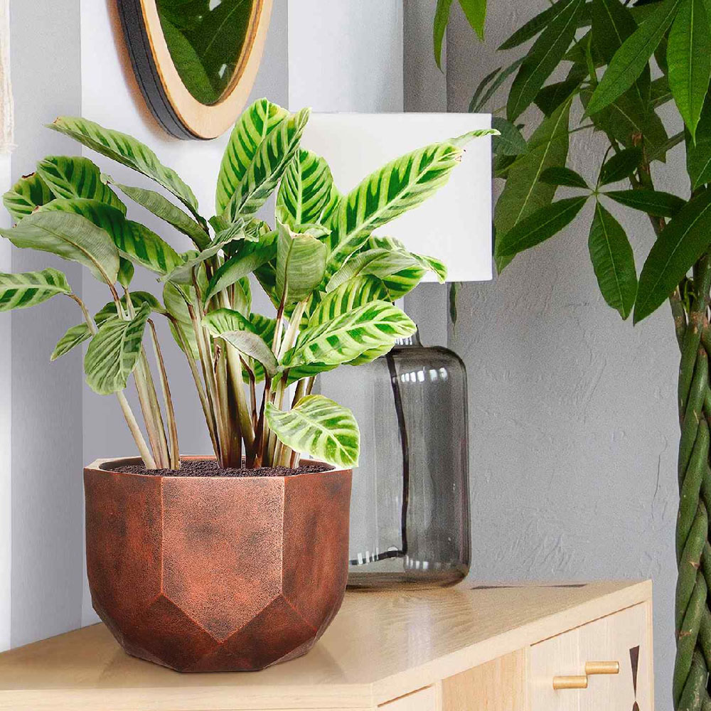 wilko Geometry Style Bronze Round Indoor Plant Pot 17cm Image 3