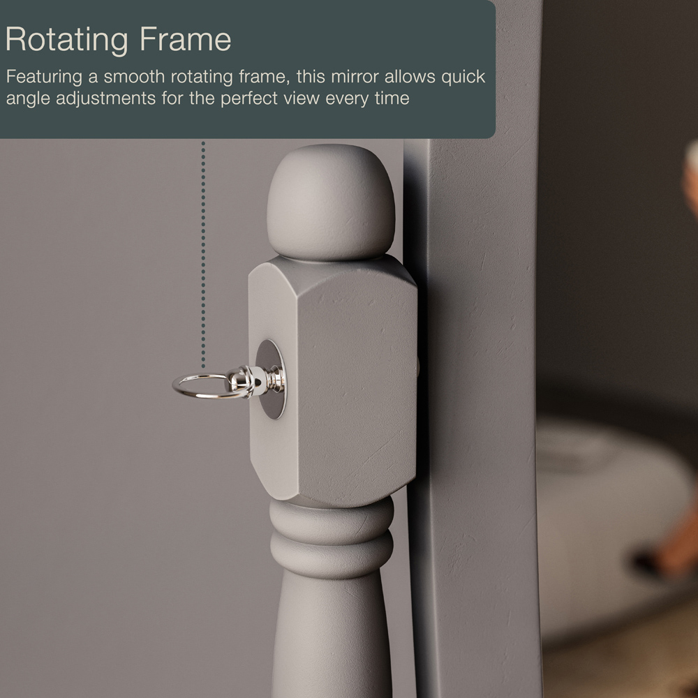 Vida Designs Nishano Grey Oval Cheval Mirror Image 5