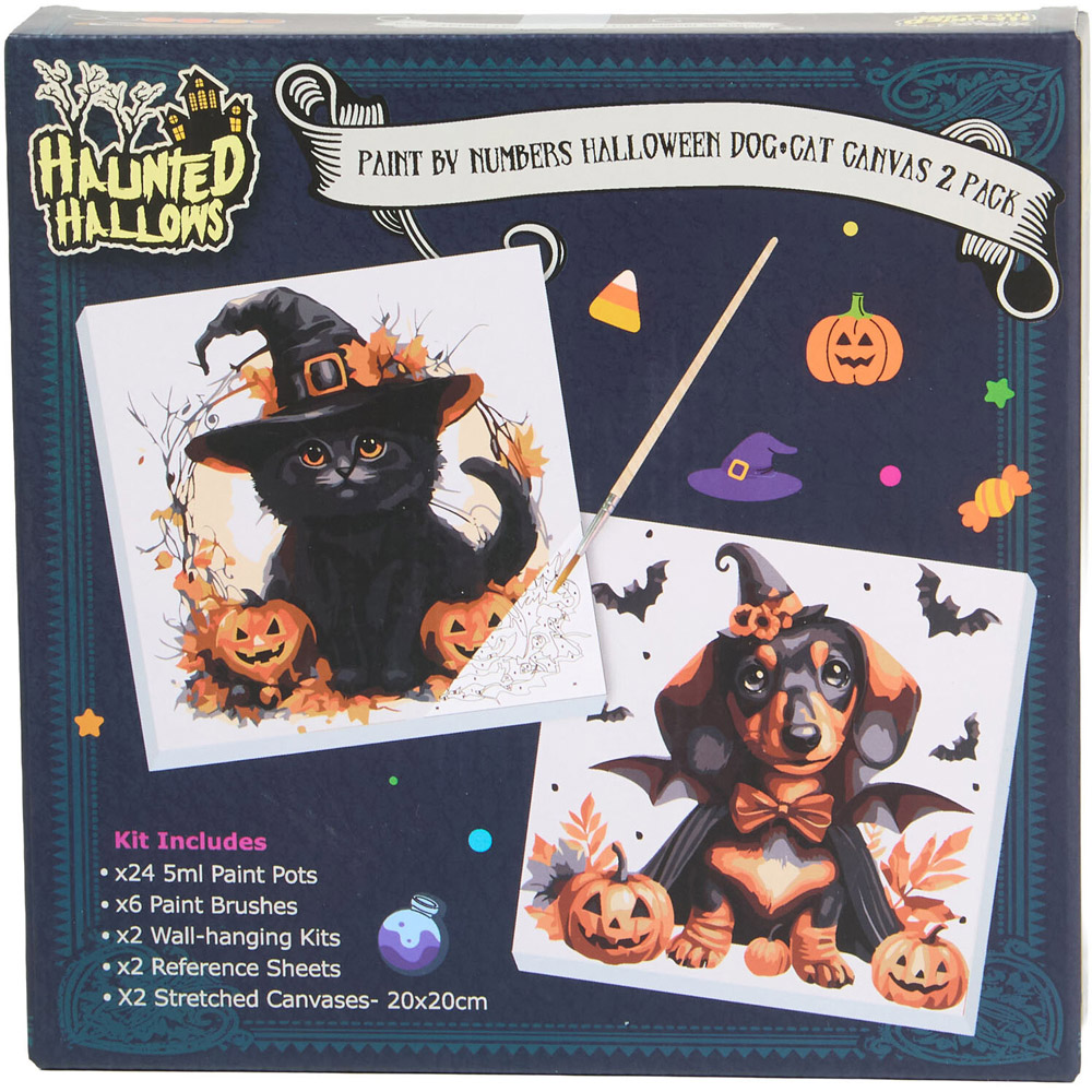 Pack of 2 Paint By Numbers Halloween Dog and Cat Canvases Image 2