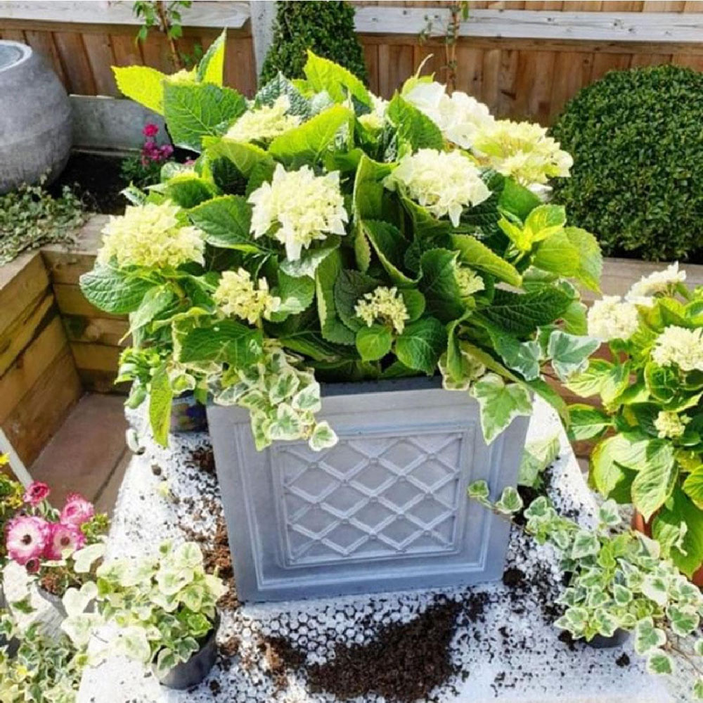 wilko Faux Lead Lattice Grey Light Fibrestone Square Outdoor Plant Pot 30cm Image 4