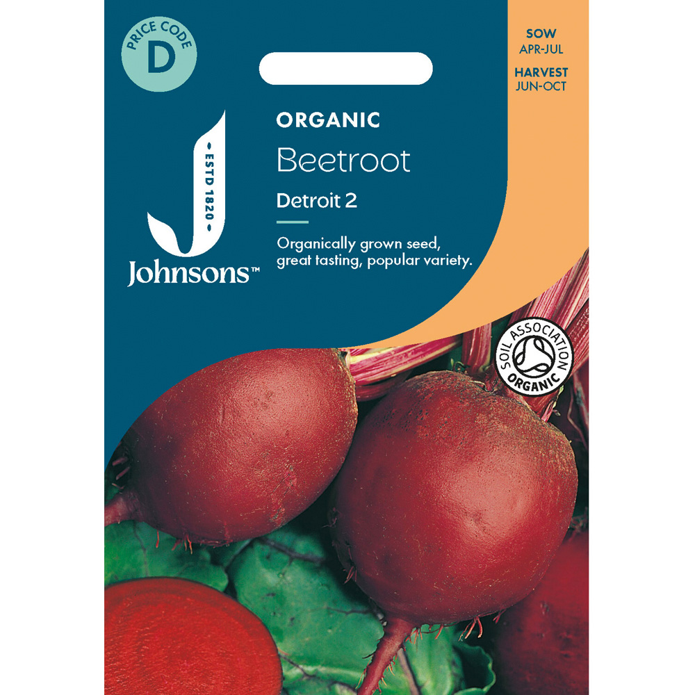 Beetroot Detroit 2 Seeds Image 2