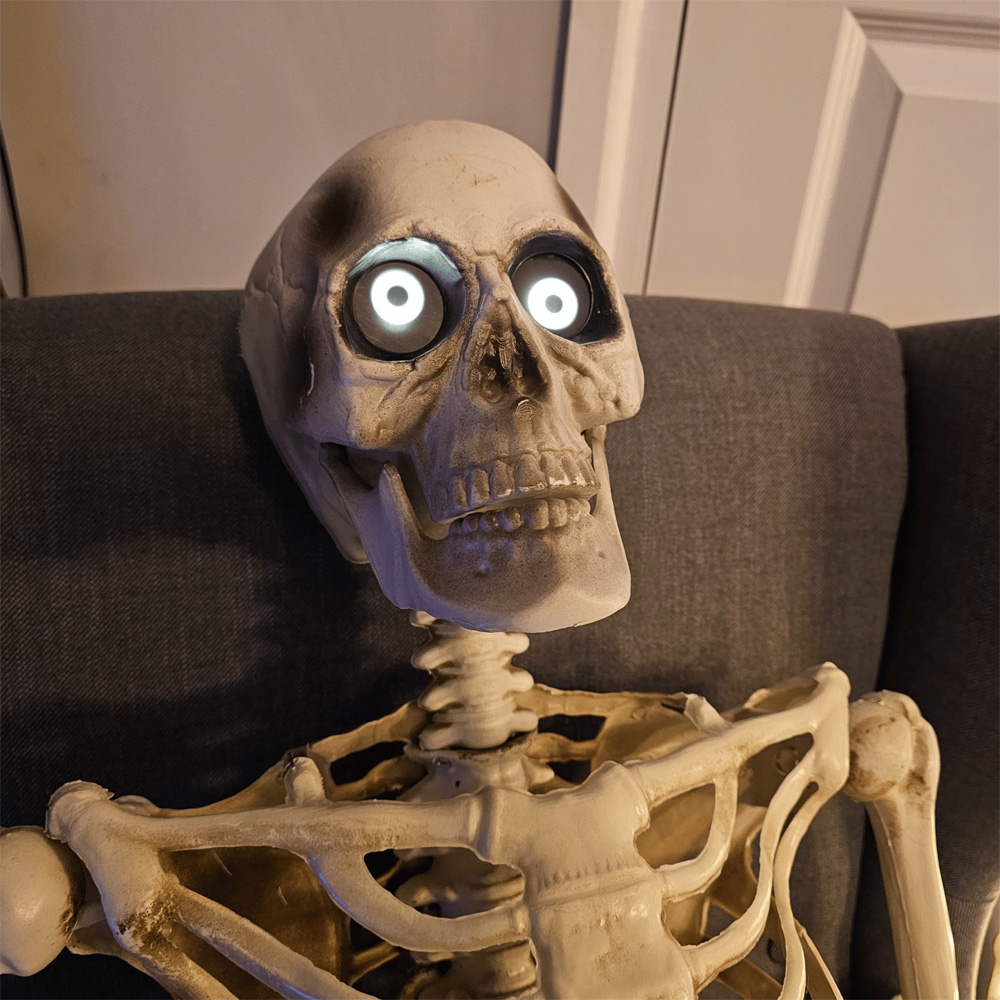 Samuel Alexander Halloween Skeleton Decoration with Animated LCD Eyes 5ft Image 5