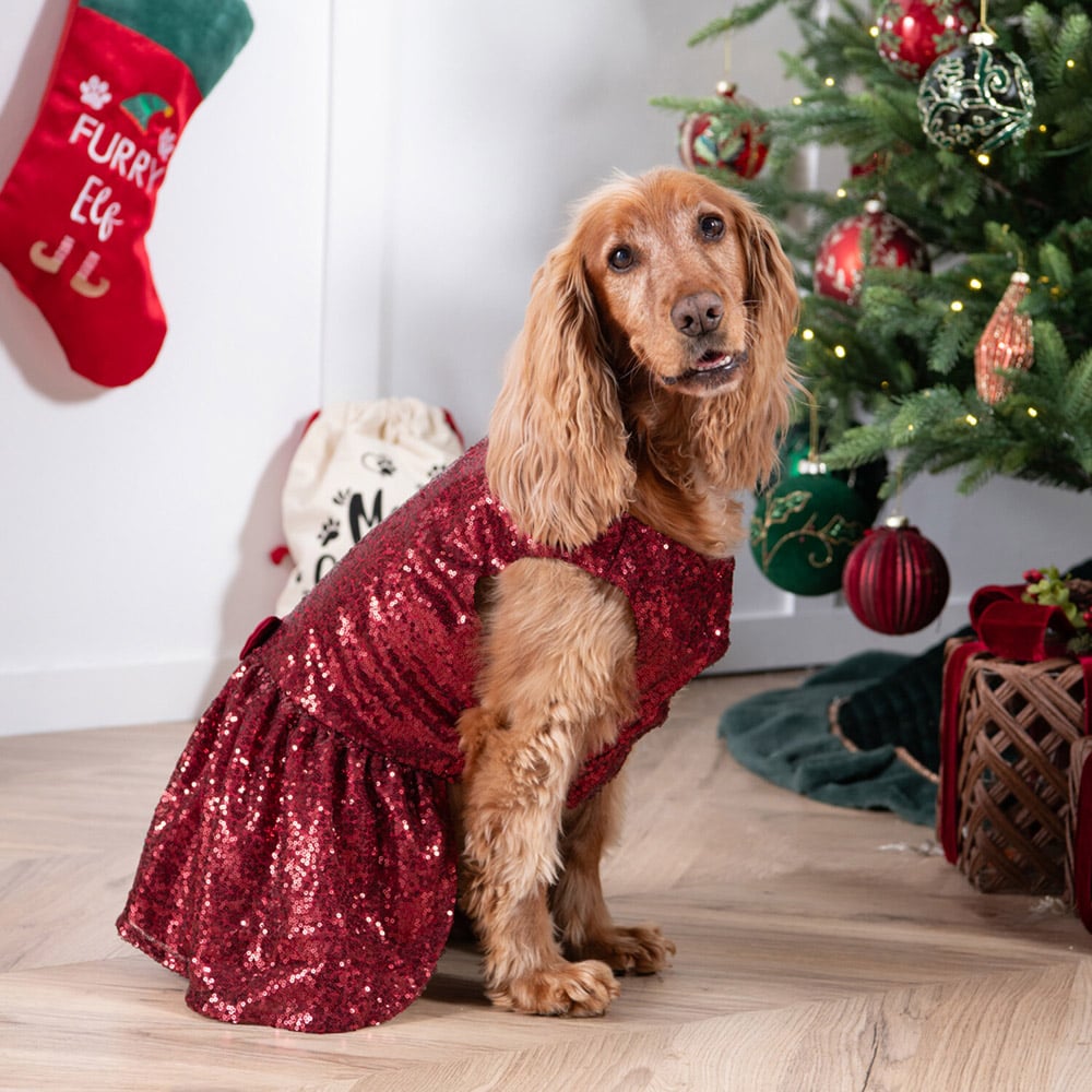 Sparkly Christmas Dog DressM Image 6