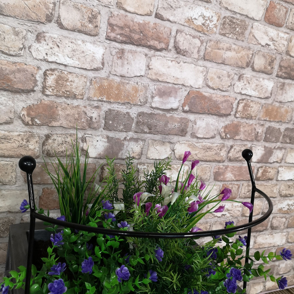 Samuel Alexander Black Metal Herbaceous Plant Support Arc 60 x 36cm Image 3