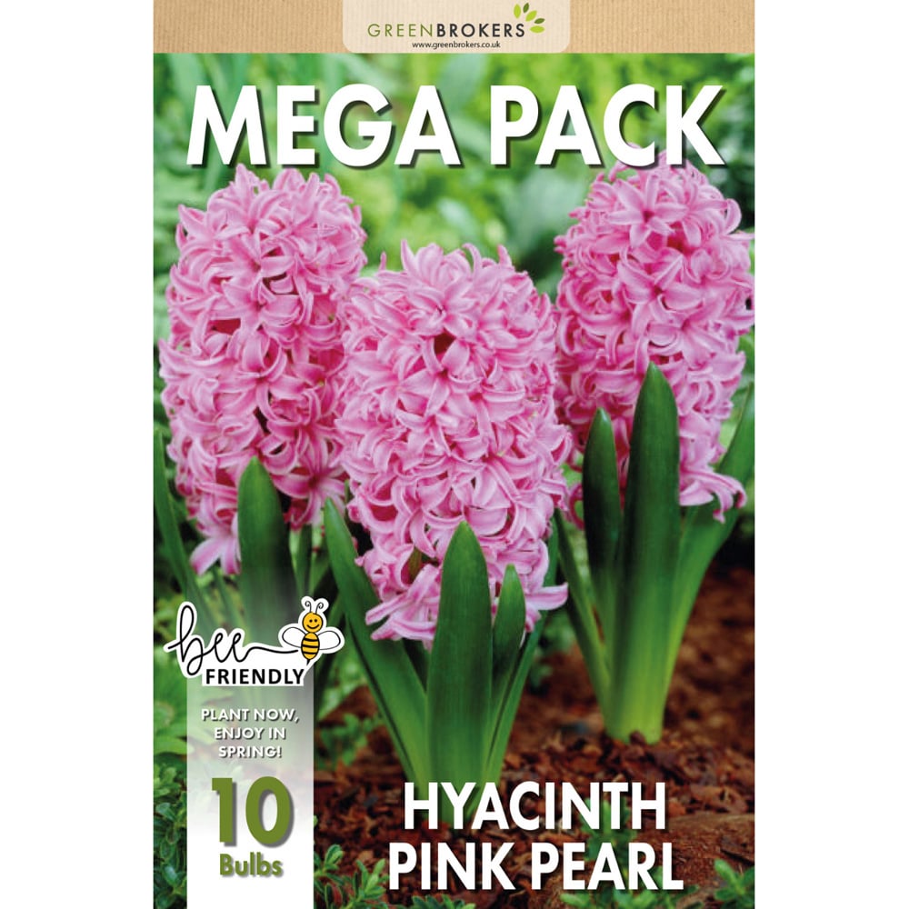 GreenBrokers Pink Pearl Hyacinth Bee Friendly Bulb 10 Pack Image 2