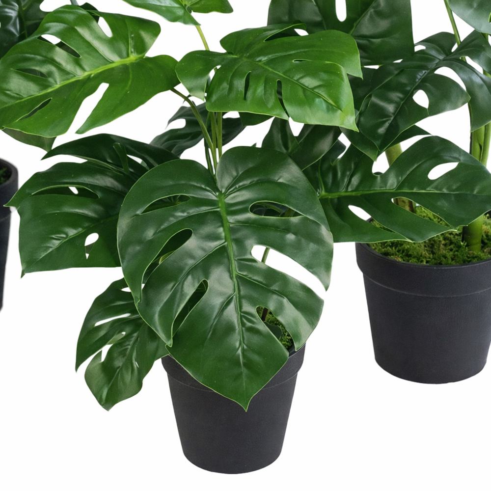 Leaf Monstera Cheese Artificial Plant Pot with Moss Covered Finish 60cm Image 3