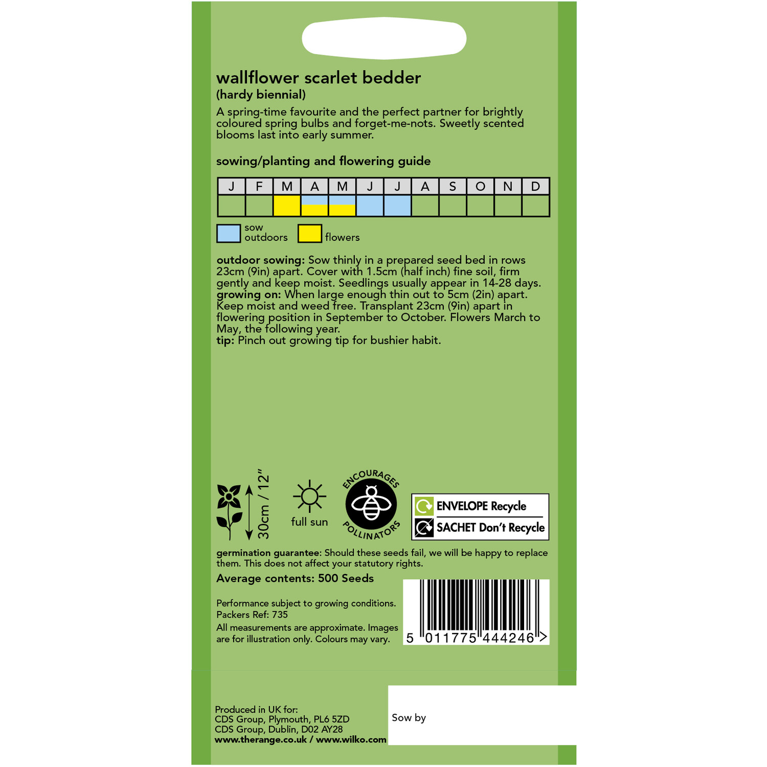 Wilko Bedder Scarlet Wallflower Seeds Image 2